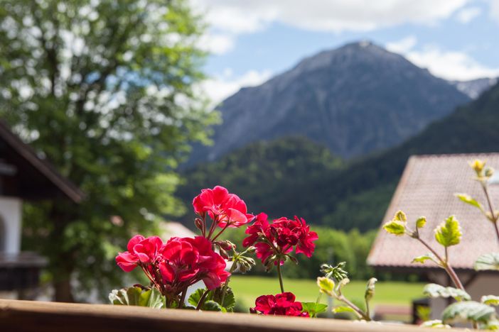 Gästehaus Eberhart Blick auf die Rotspitze