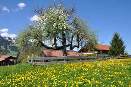 Landhaus Brigitte in Obermaiselstein