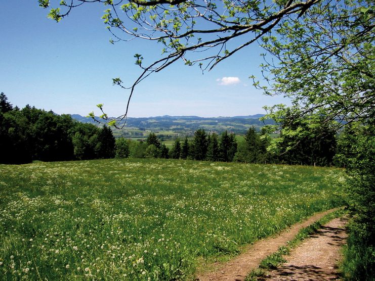 Wir wandern an Feldern und Wäldern entlang.