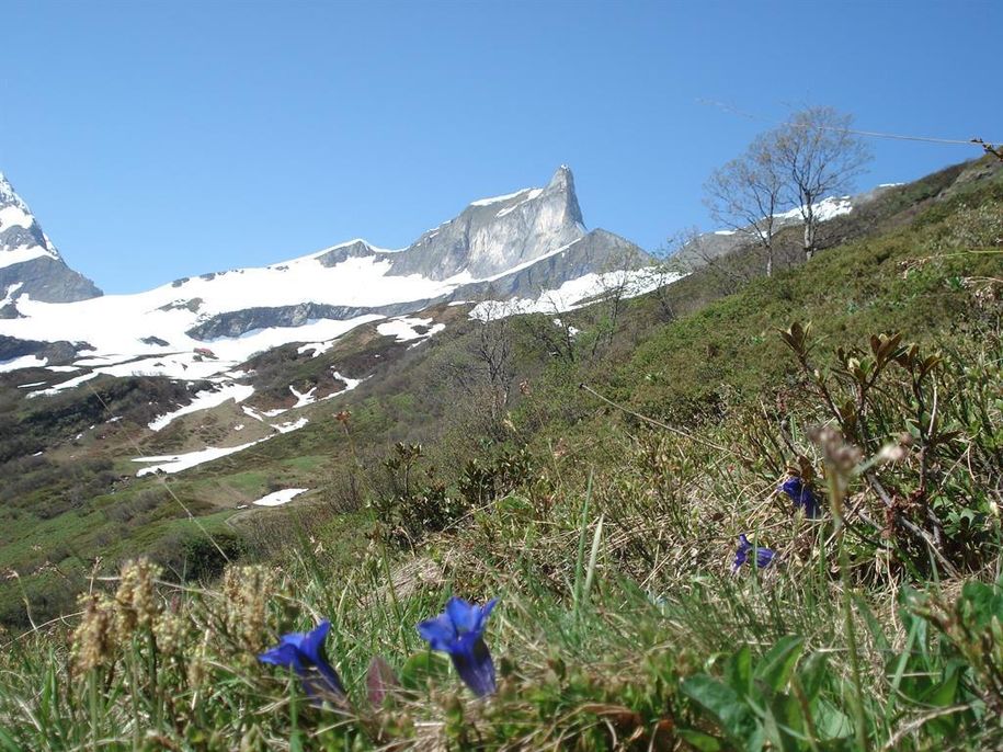 Blick zum Schneck