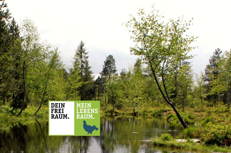 Der Panoramaweg bei Sulzberg - Grenzenlose Aussicht