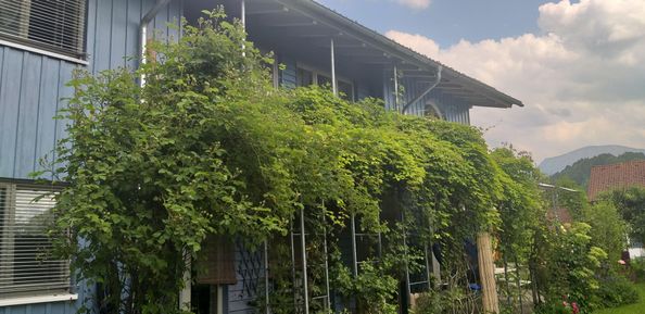 Außenansicht_Haus