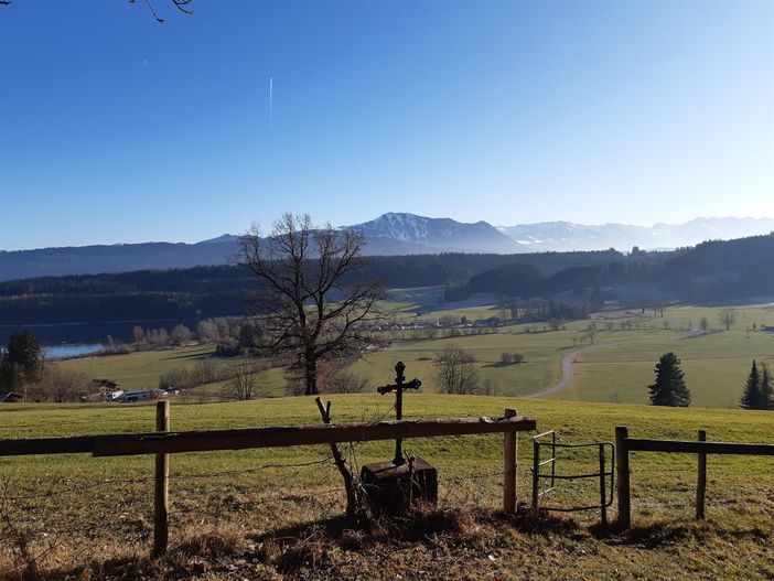 ....in der Nähe
