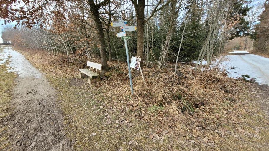 Stadtwaldrunde in Buchloe