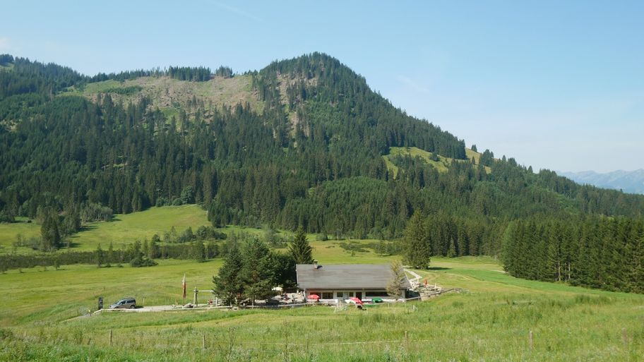 Blick auf die Strausbergalpe