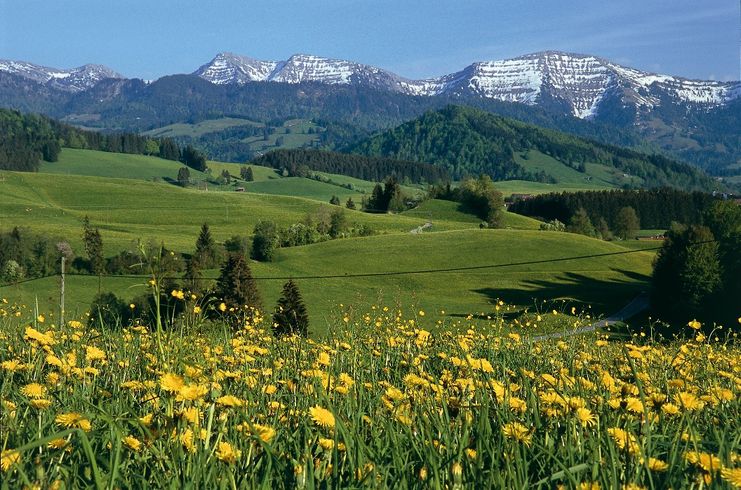 Blick auf die Nagelfluhkette