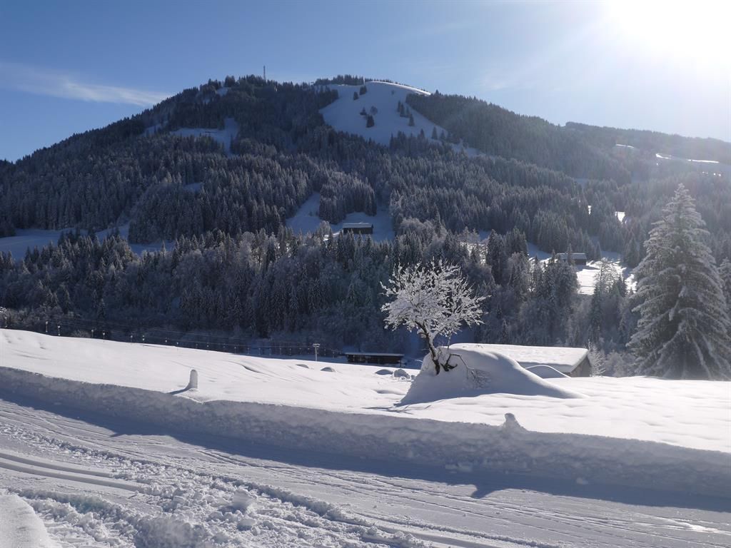 Langlauf direkt am Haus