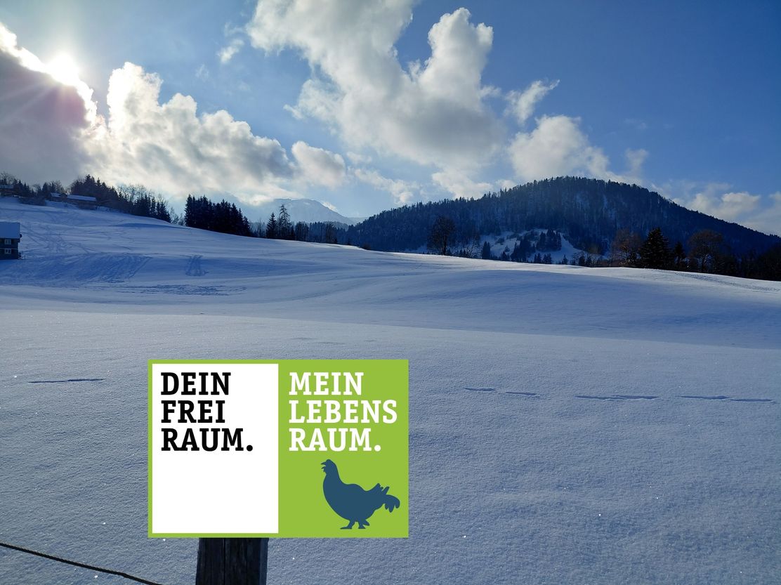 Winterwanderung rund um Hittisau