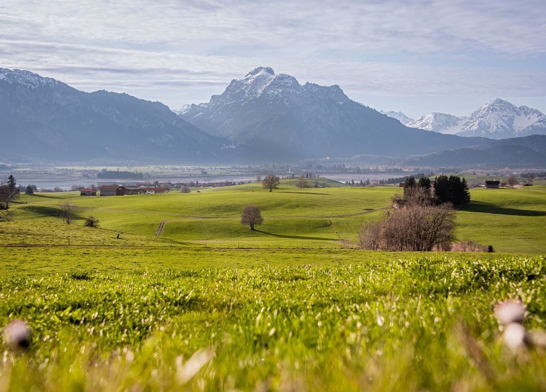 Blick auf Forggensee und Säuling von Ussenburg bei Roßhaupten