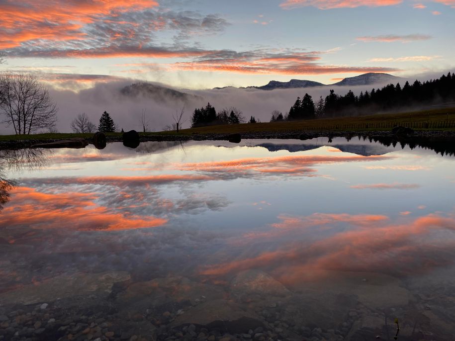 Morgenrot