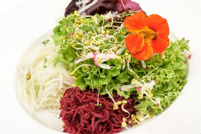 Veggie-Küche