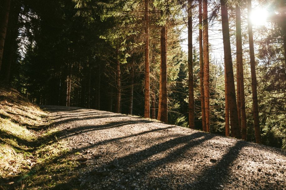 Waldweg