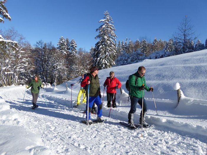 Schneeschuhwanderung