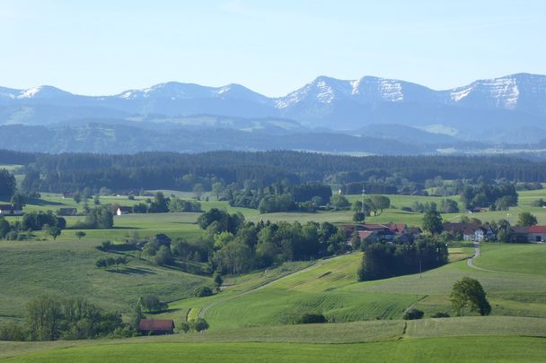 Siggener Höhe mit Blick auf die Nagelfluhkette