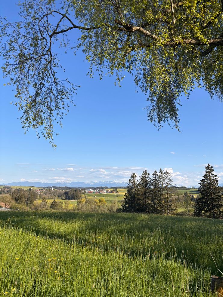 Panoramaweg