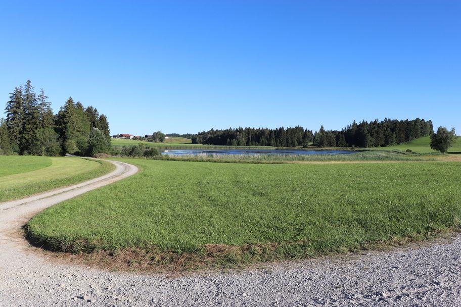 Wanderweg am Trollweiher vorbei