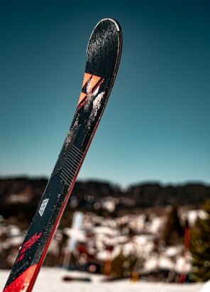DSC_7586