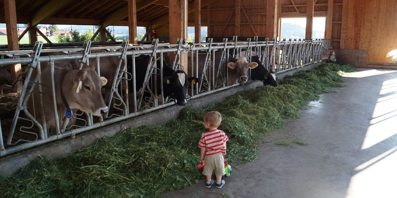 Bei uns werden Ihre Kinder schnell zum Landwirt