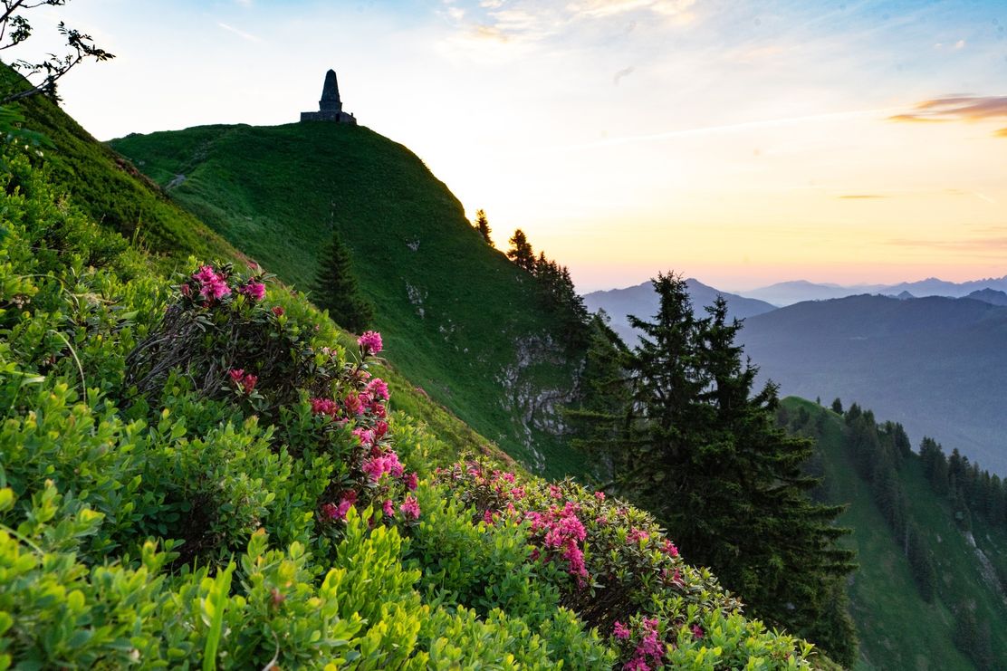 Bier-Genusswanderweg 4a: Von der Bieralp zum Grüntengipfel