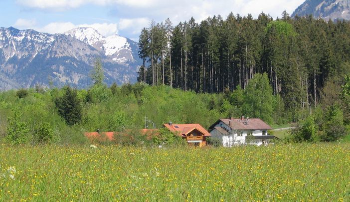 Blick im Frühjahr