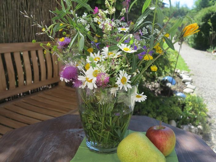 Sommer im Garten