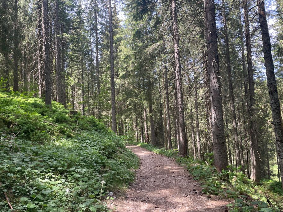 Wegeabschnitt