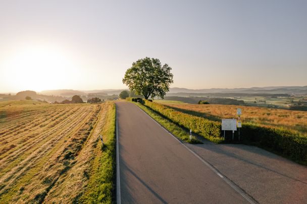 Siggener Höhe im Abendlicht