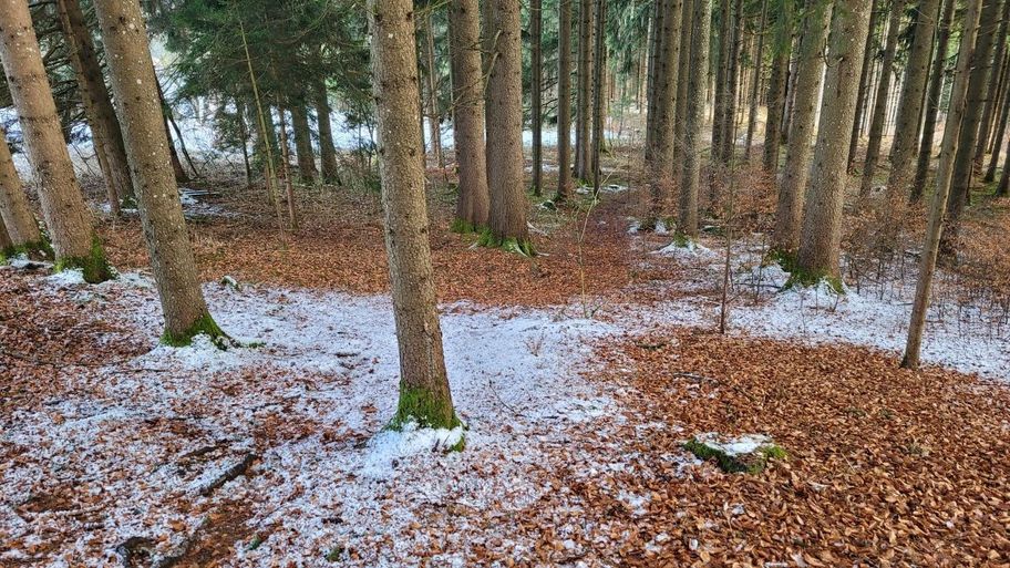 Rundtour über die Bergmang Alpe