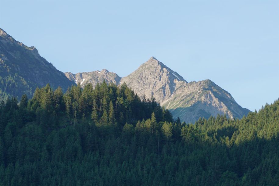 Blick_7