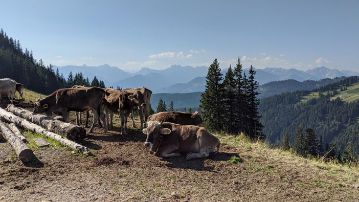 Rund um Fischen