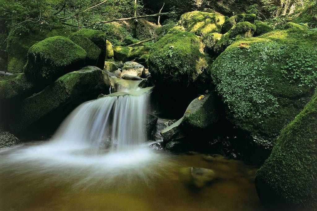 Auf den Spuren des Tobelbachs - Westallgäuer Wasserweg 12