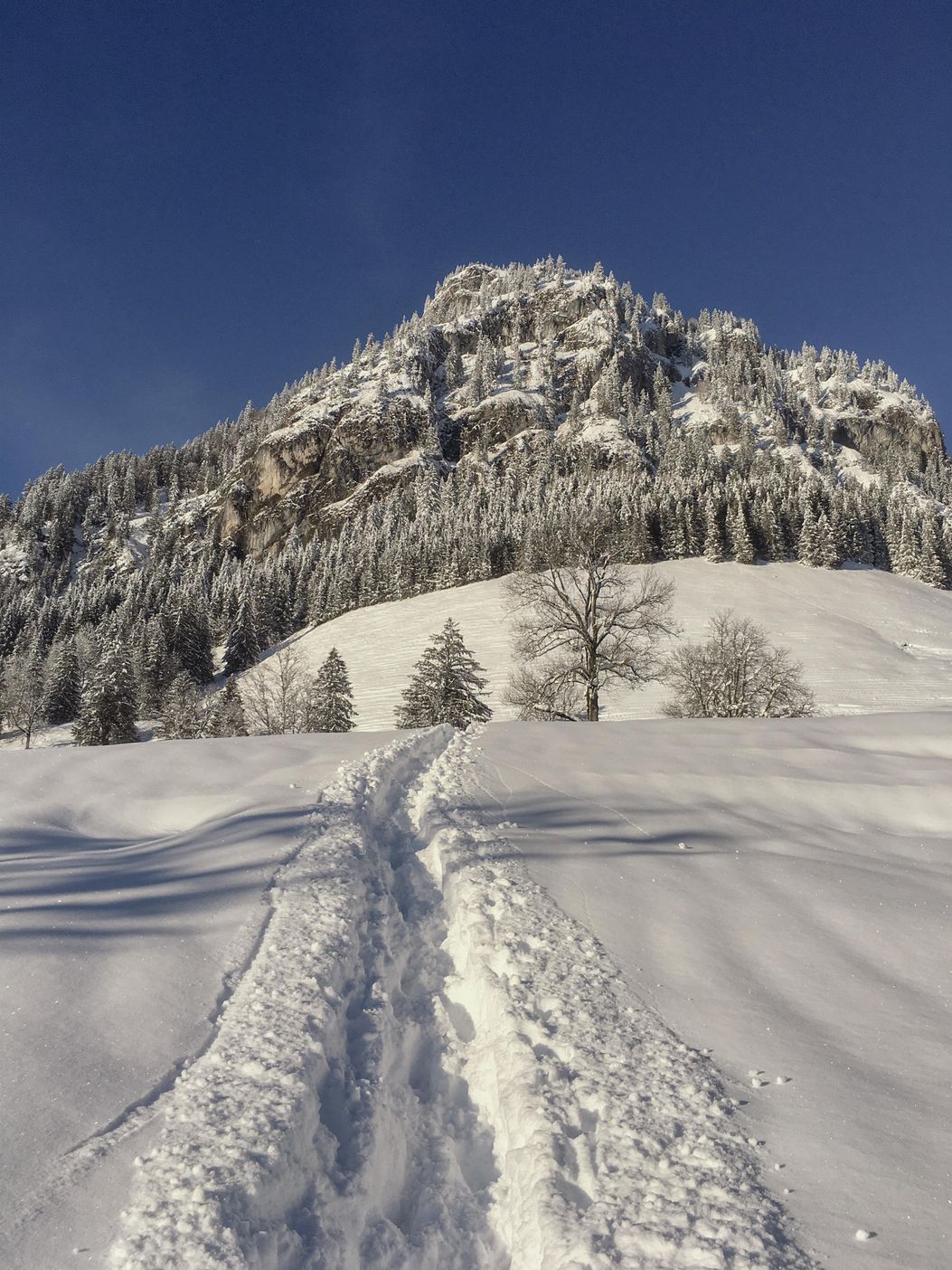 Sonnenbichl hinter dem Haus