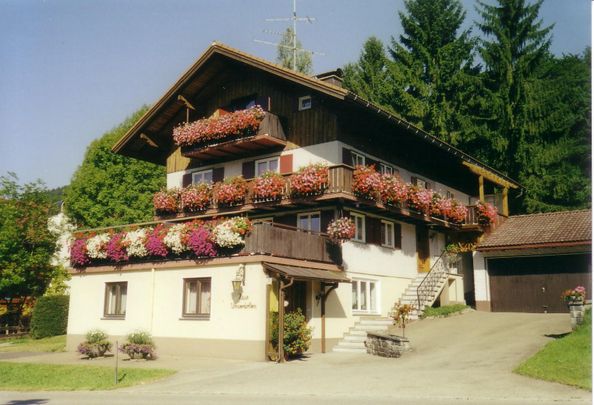 Sommer