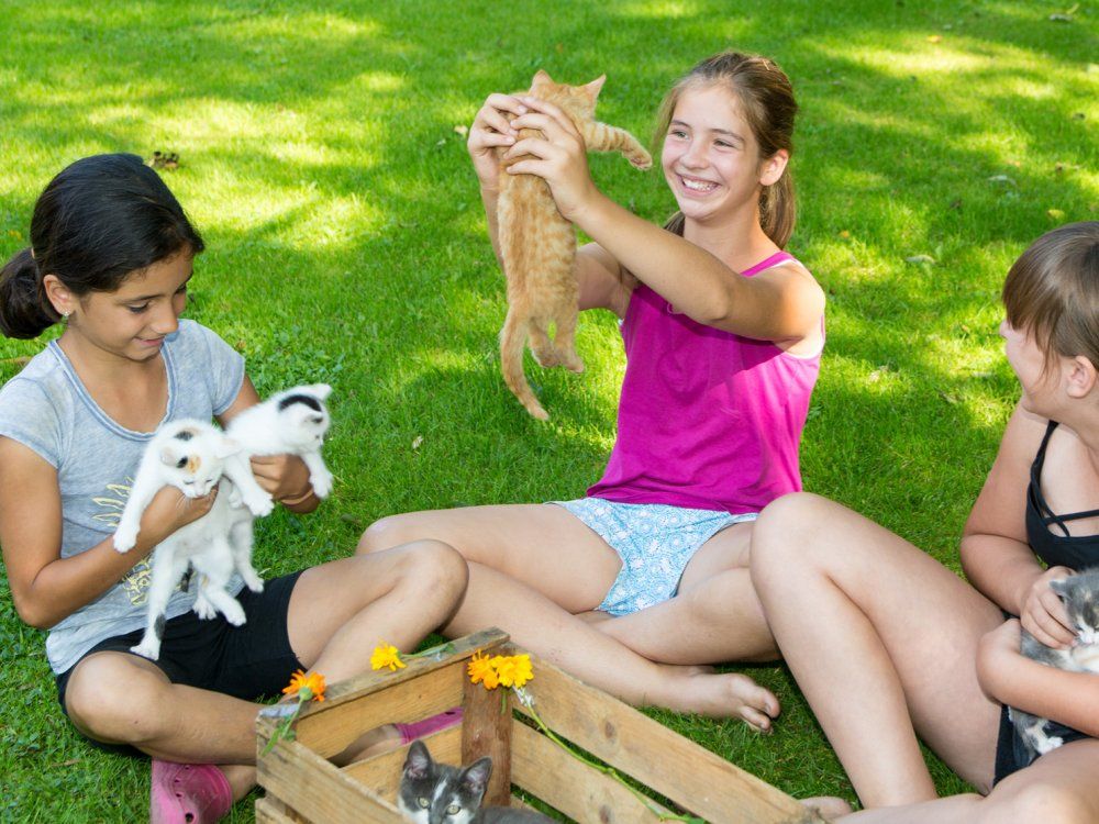 226Breyer Michl Reportage Hof