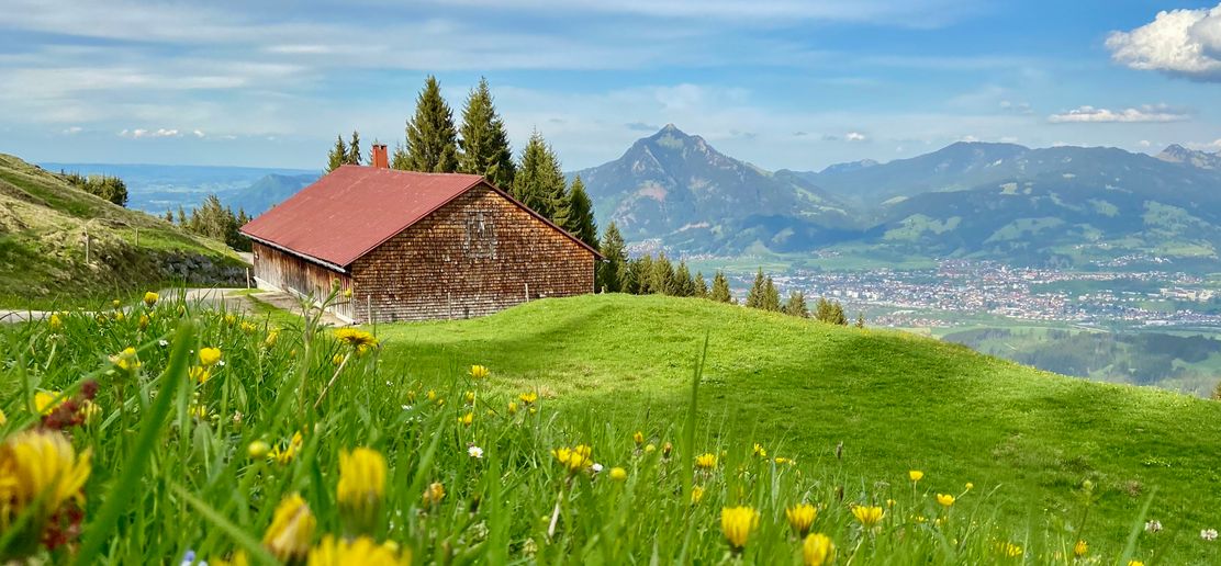 Horn Alpe am Ofterschwanger Horn mit Blick auf den Grünten