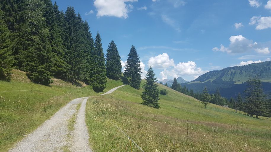 Der Bergsommer erwartet Sie!