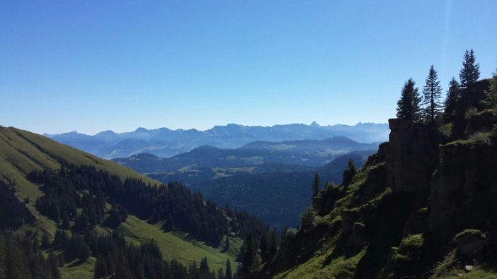 Am Hochgrat