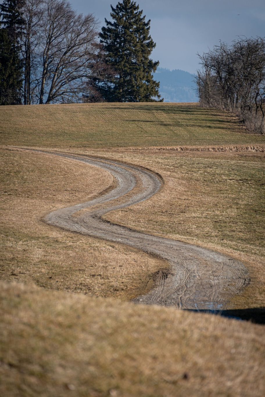 Der Forstwanderweg schlängelt sich durch Felder der hügeligen Voralpenlandschaft.