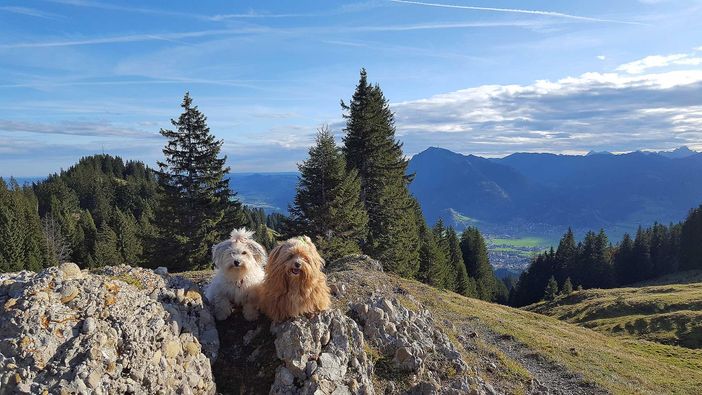Hunde willkommen im Landhaus Jörg