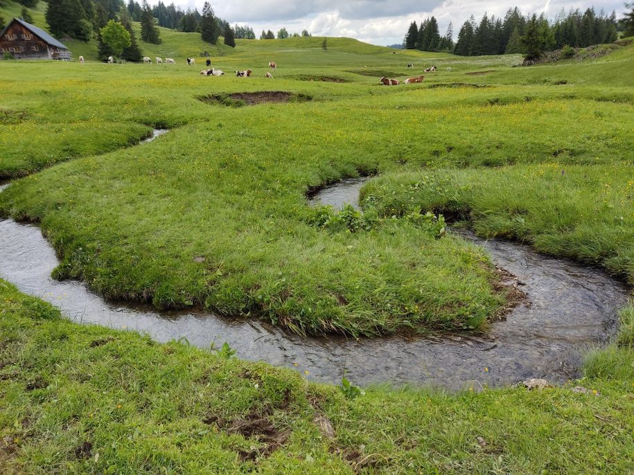 Allgäu