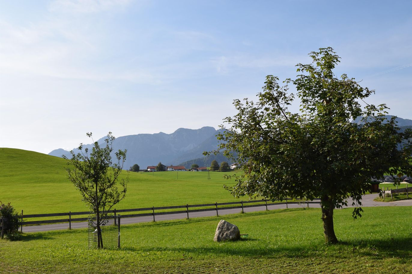 Aussicht Gästehaus Steinacher Hopferried