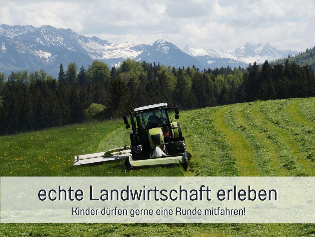 Landwirtschaft