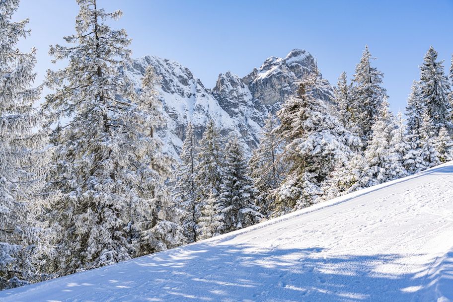 Winterwanderung "Bürschling-Runde" am Breitenberg