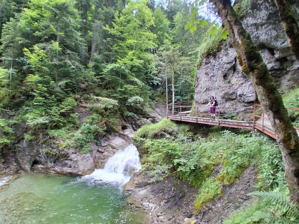 Gunzesried: Birkachmoor