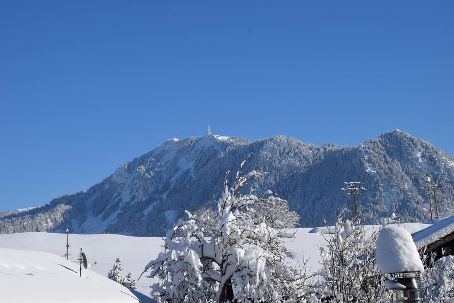 Blick zum Grünten