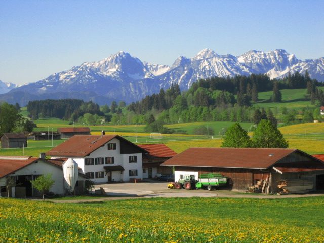 Frühlingbild auf unseren Ferienhof.