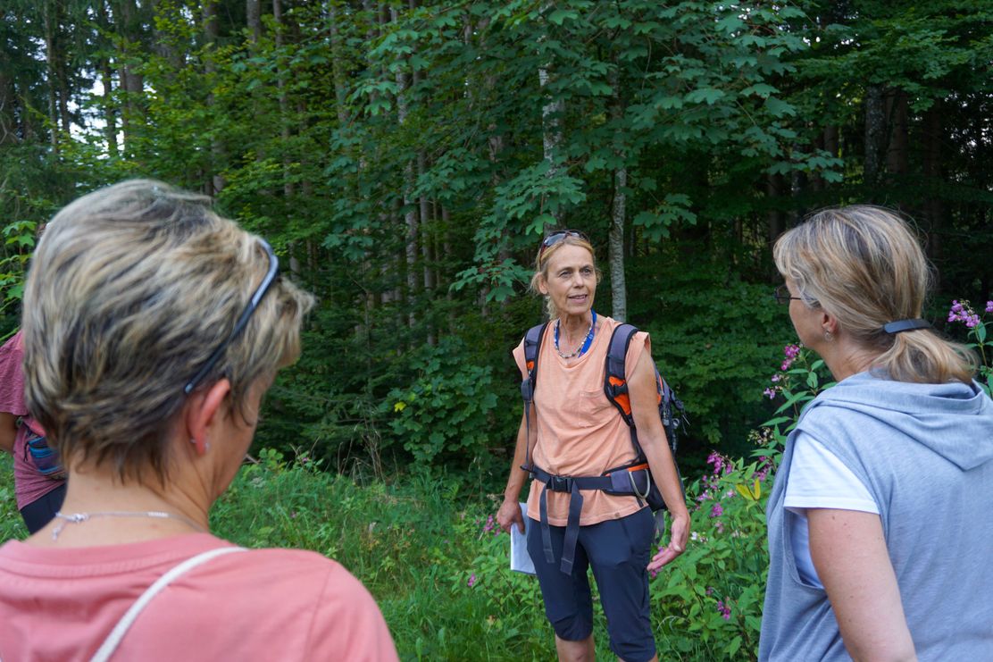 Waldbaden in Steibis