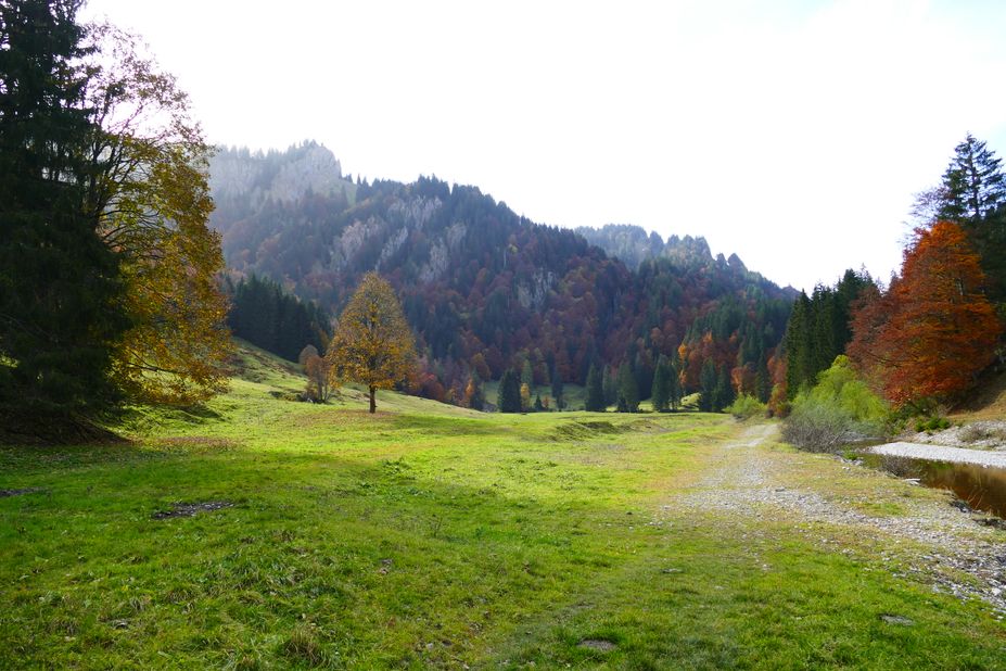 Blick ins Gunzesrieder Tal Richtung Sipplinger