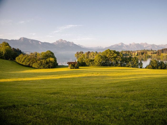 amuferdesforggenseesillasbergseeallgaugmbhnikolasseymourccbysade3.0