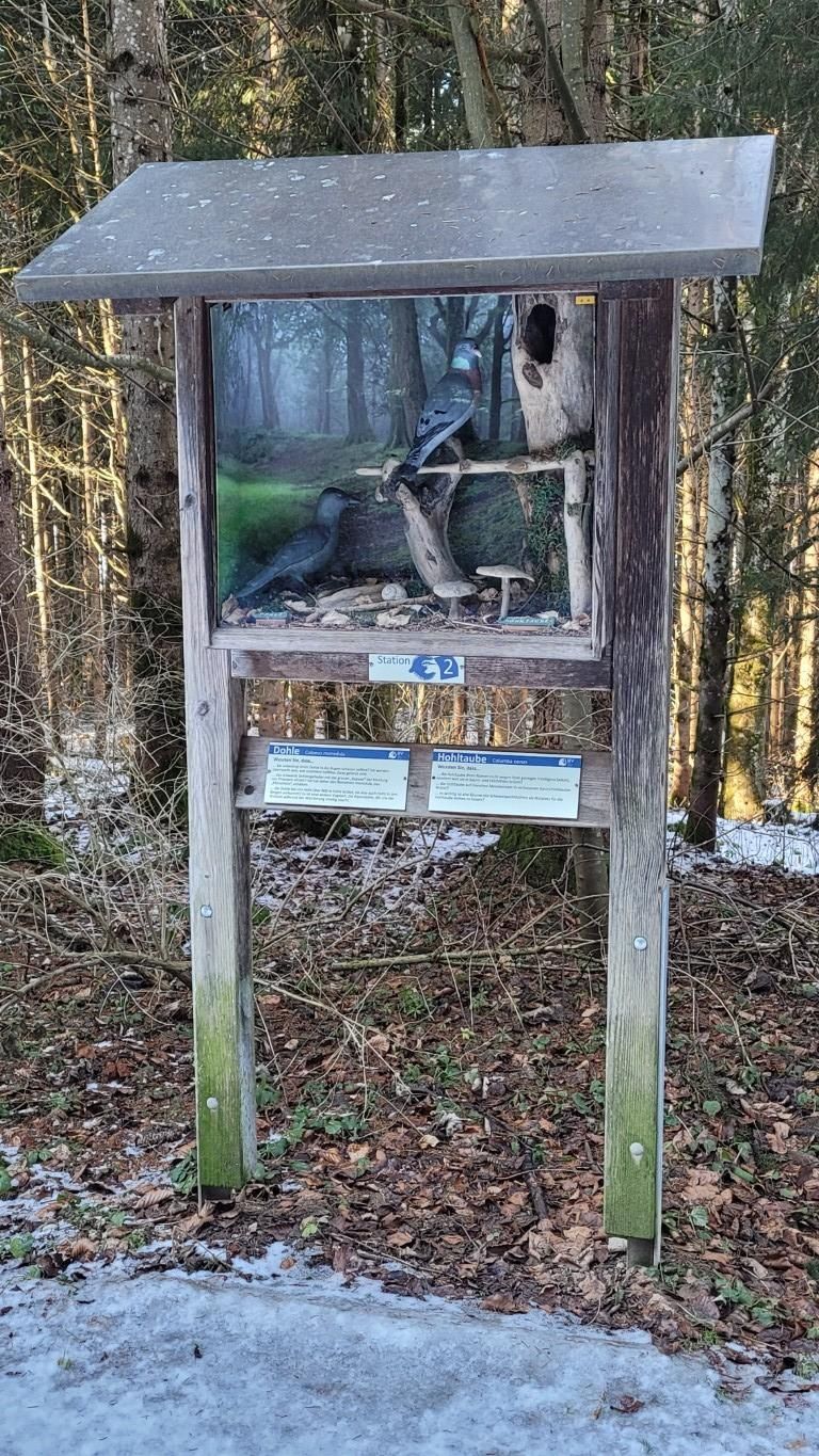 Vogellehrpfad Friesenried